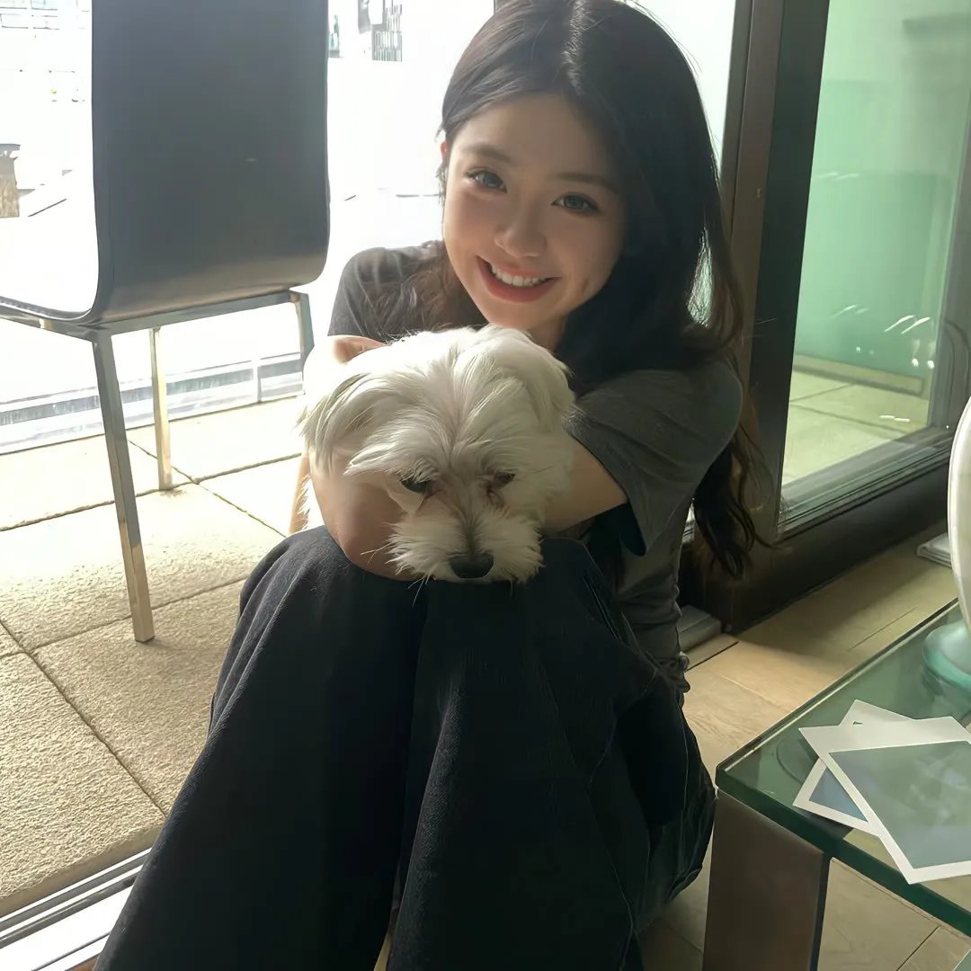 巅峰拍档第十五季